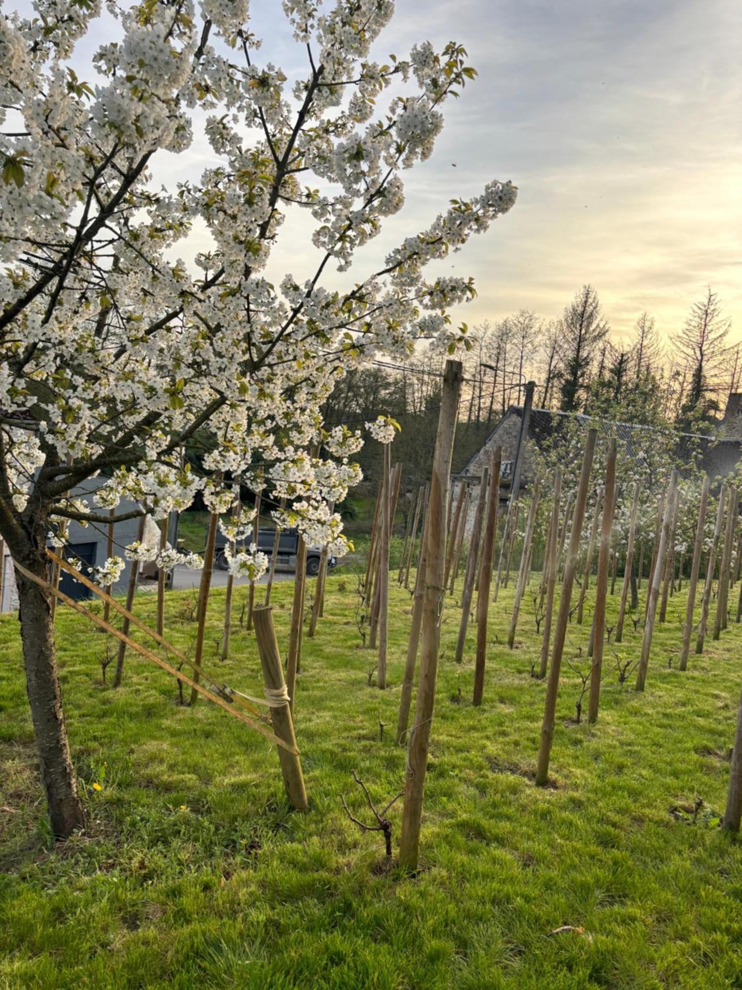 Le Gite Du Faubourg Sautour Bagian luar foto